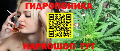 метадон Партизанск