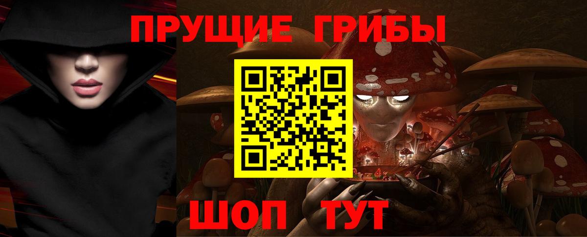Псилоцибиновые грибы GOLDEN TEACHER  наркошоп  Чехов  Псилоцибиновые грибы Magic Shrooms  Вход с VPN 